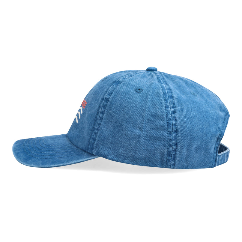 NSRI Waves Dad Cap