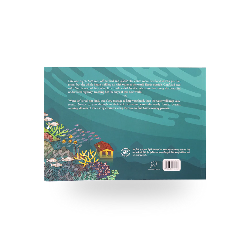 The Brave Turtle by B.D Harris & Megan Bird Book